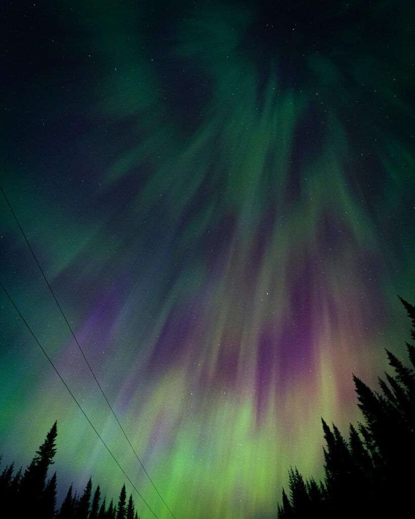 A vibrant display of the Northern Lights in a starry night sky, with shades of green and purple streaking above silhouetted pine trees. Perfect for witnessing upcoming celestial events.