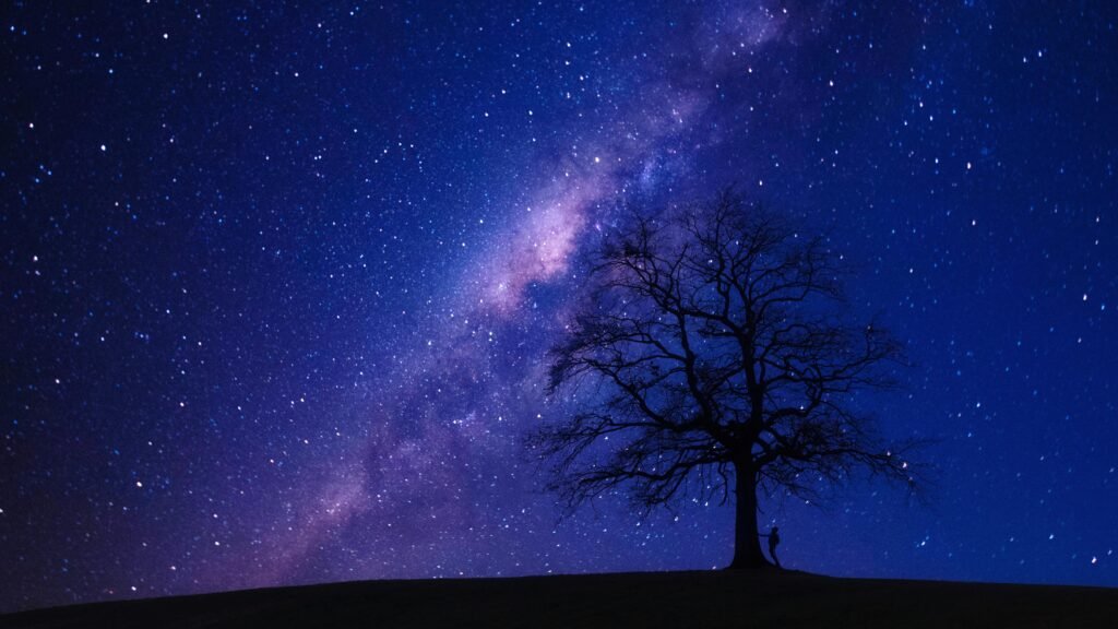 A silhouette of a lone tree and a person standing beneath it against a night sky filled with stars and the Milky Way galaxy. Perfect for witnessing upcoming celestial events.