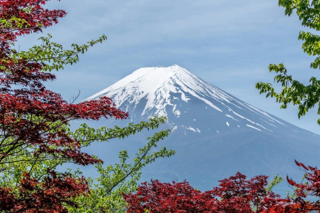 Snow-capped Mount Fuji with red and green maple leaves in the foreground against a clear blue sky.