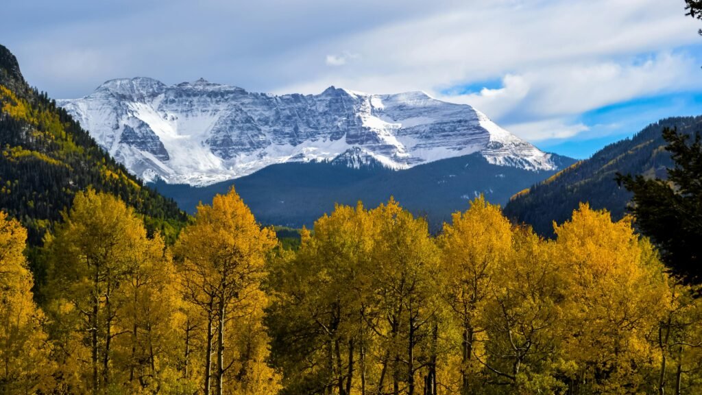 Snow-capped mountains towering behind a forest of yellow-leafed trees under a partly cloudy sky.