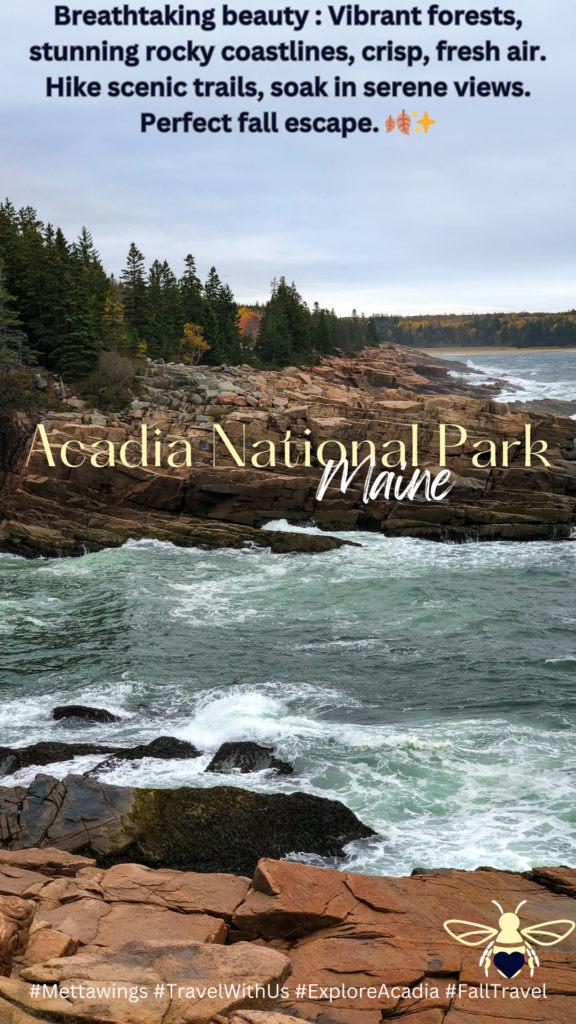 Rugged coastline with choppy sea waves crashing against layered rock formations under overcast skies, lined by dense evergreen trees.