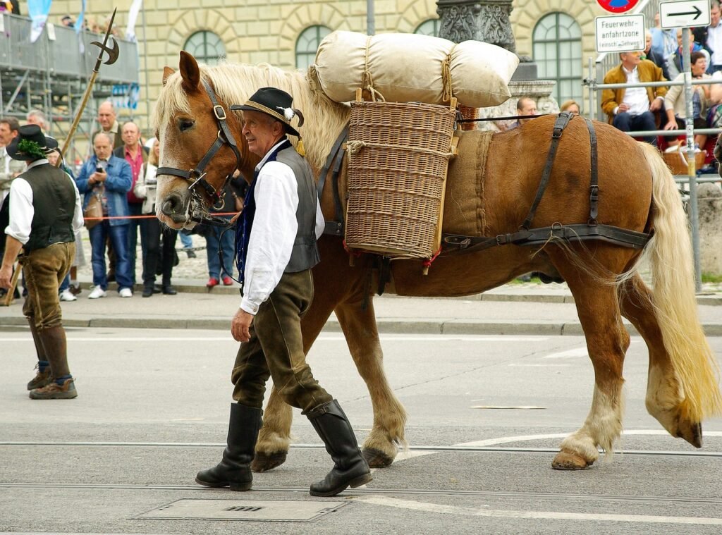 Brown horse with traditional harness carrying sacks and wicker basket led by person in German attire at outdoor event.