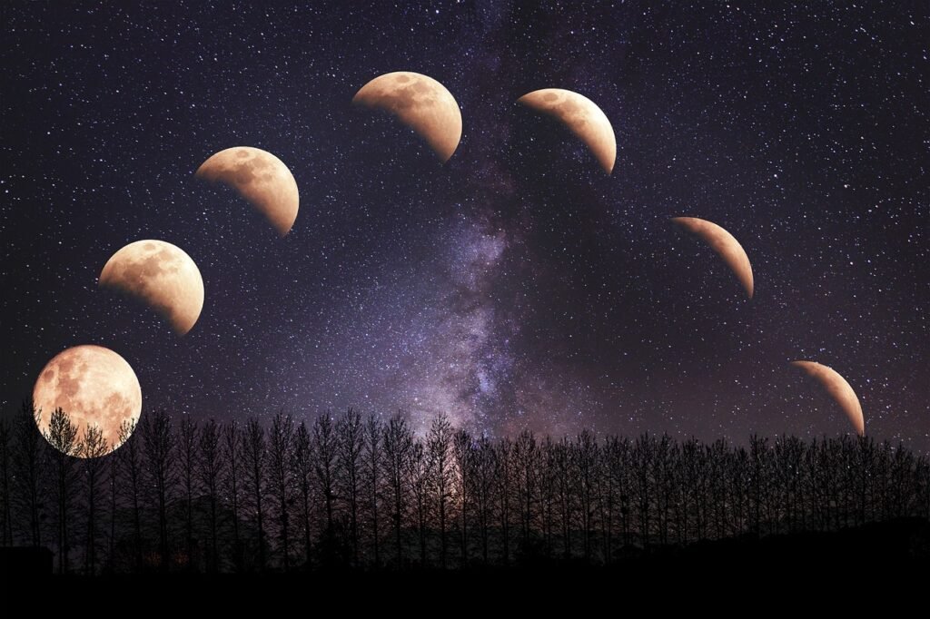 Artistic representation of various lunar phases above a silhouetted forest under a starry night sky with the Milky Way galaxy.