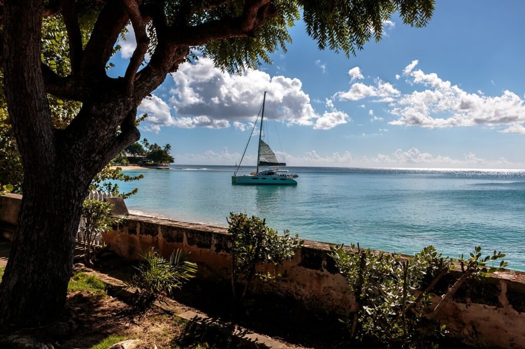 Turquoise sailboat on calm blue waters off the coast of Barbados, viewed from under the shade of a tree during a Caribbean and West Indies Vacation