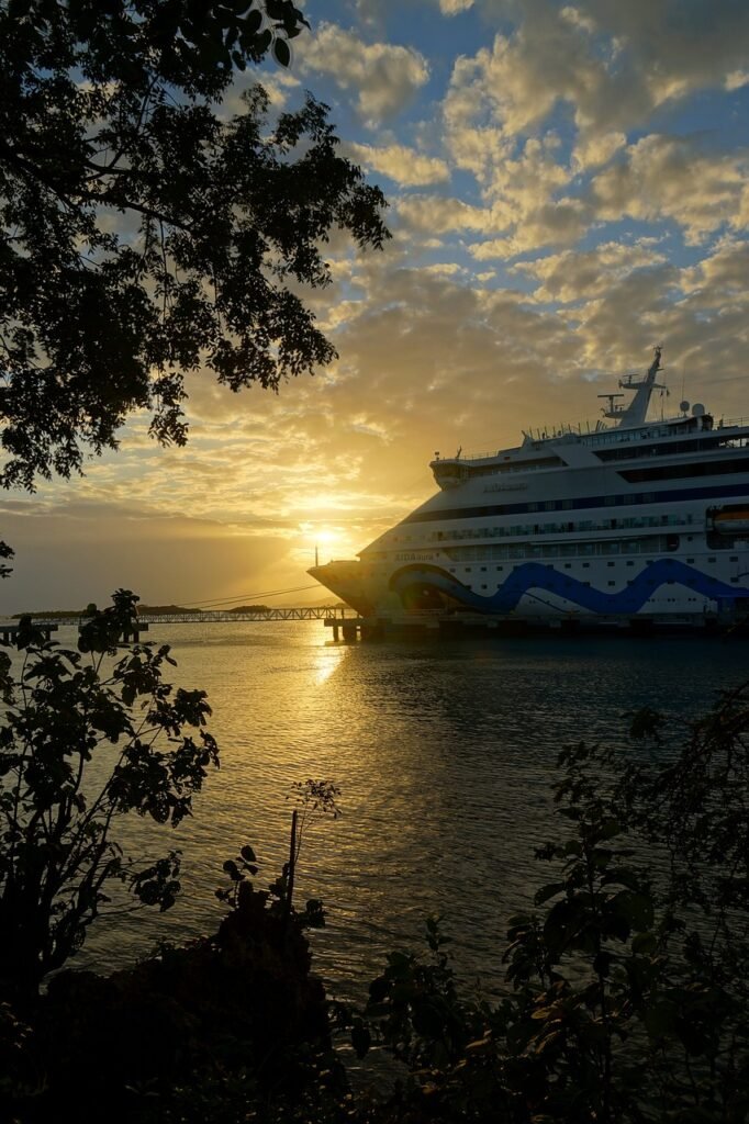 Sunset view of a Princess Cruise ship docked at a pier, with vibrant orange skies and dark tree silhouettes in the foreground on a Caribbean and West Indies Vacation