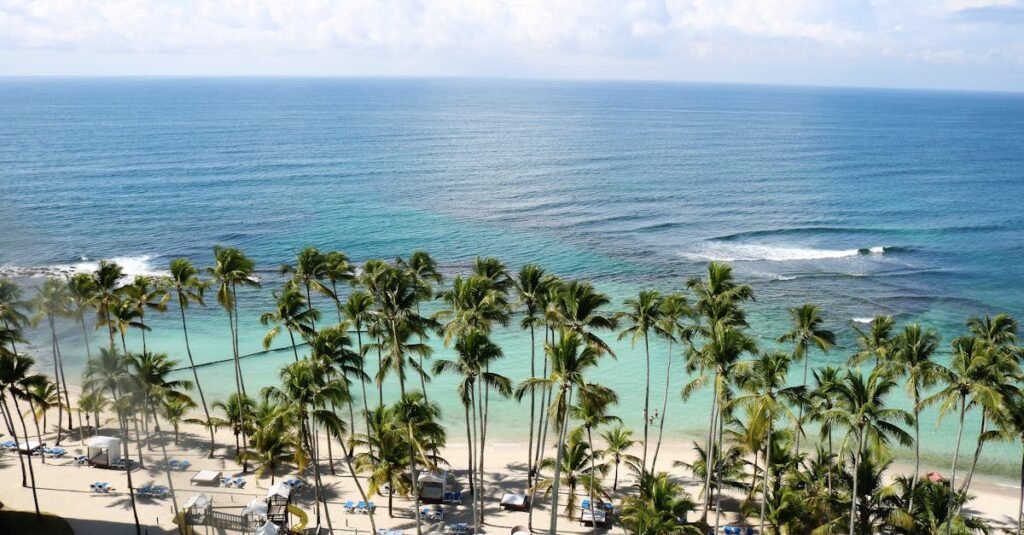 Caribbean and West Indies vacation in Jamaica with palm trees and white sand beaches. A panoramic view of a beach in Jamaica with tall palm trees, white sand, and clear blue waters under a bright sky.