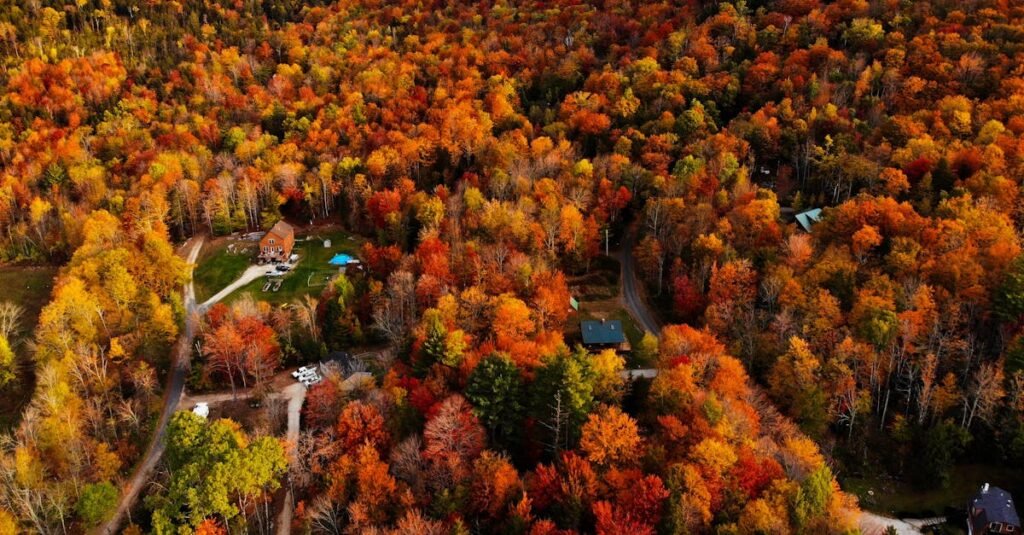 Aerial view of vibrant autumn forest with scattered houses in New England, USA. Trending travel destinations 2024.