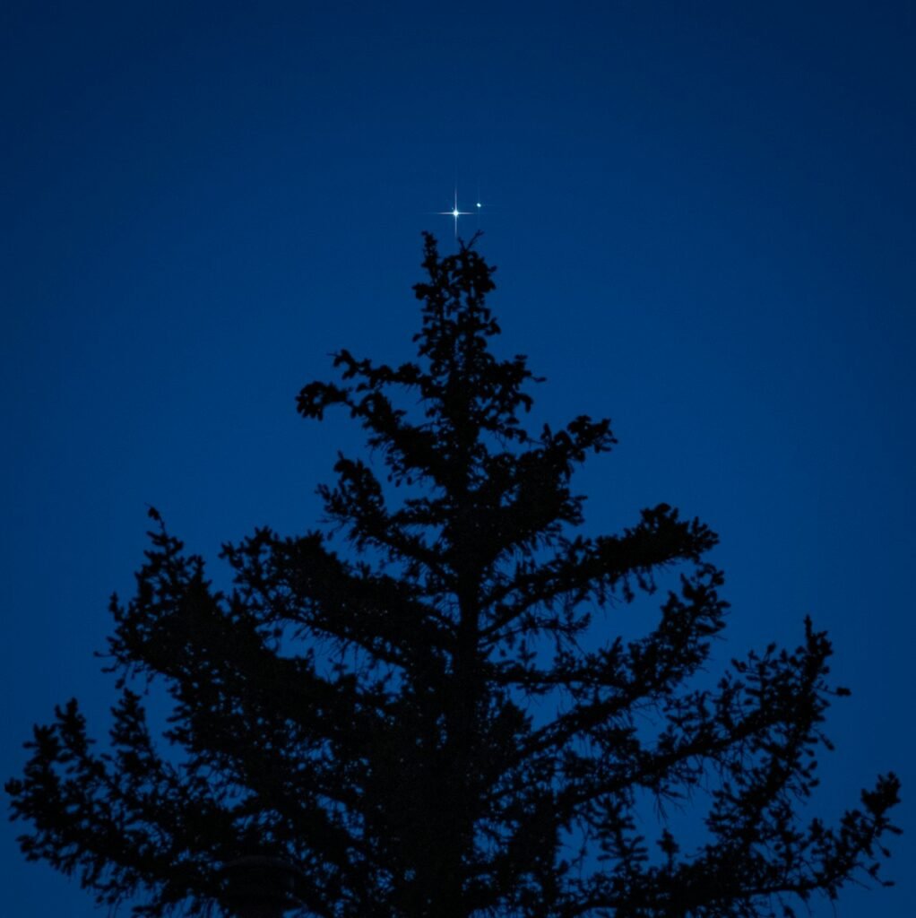 Saturn and Jupiter Conjunction seen above a silhouette of a tree