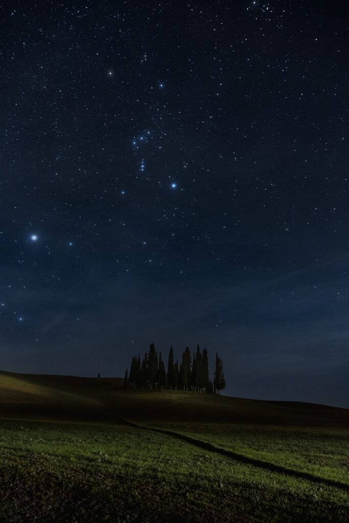 A clear night sky with the constellation Orion visible above a silhouette of trees. Upcoming Celestial Insights