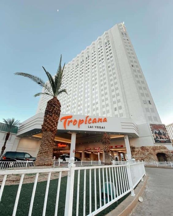 Exterior view of the Tropicana Las Vegas hotel and casino with a prominent entrance sign, palm trees, and clear sky.